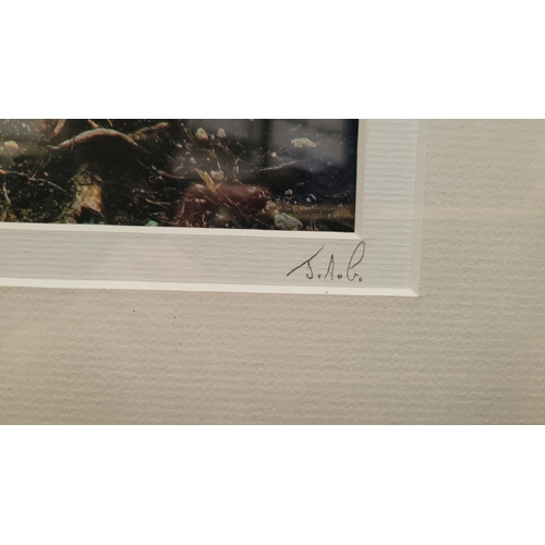 24 - JAMES GORDON, LAST NIGHT - LOCH GARTON, photographic print, signed with initials lower right on the ... 