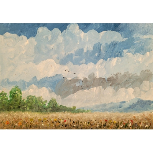 27 - A FRAMED PAINTING: 20TH CENTURY, Sky-scape with beautiful depiction of clouds over a flower meadow w... 