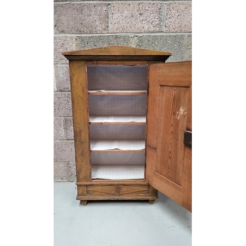 42 - A VERY CHAMING COUNTRY-STYLE / RUSTIC SINGLE DOOR CABINET, with a triangular pediment to the front, ... 