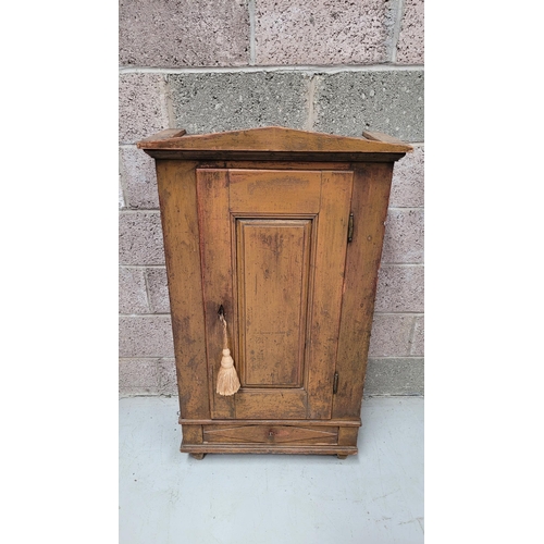 42 - A VERY CHAMING COUNTRY-STYLE / RUSTIC SINGLE DOOR CABINET, with a triangular pediment to the front, ... 