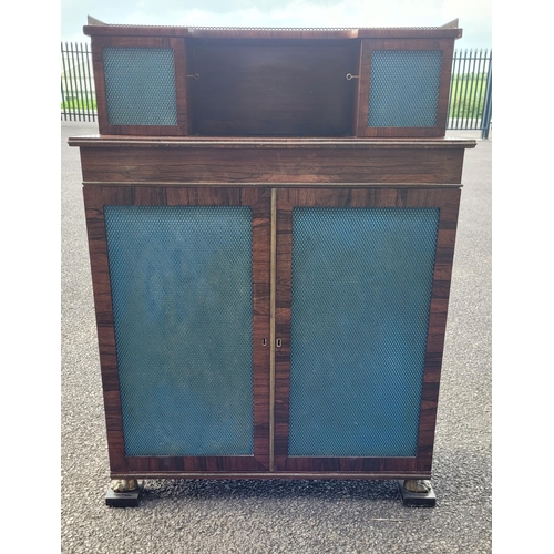 43 - A 19TH CENTURY ROSEWOOD TWO DOOR CHIFFONERE CABINET, with a top gallery section housing a pair of ca... 