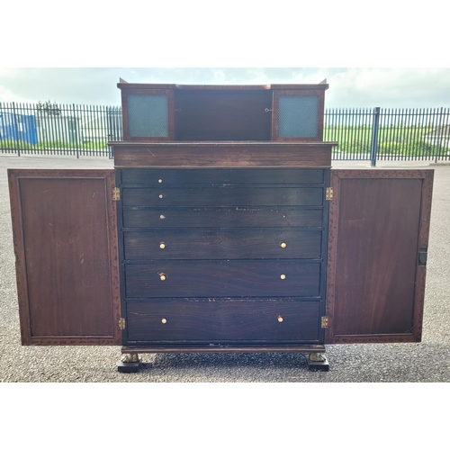 43 - A 19TH CENTURY ROSEWOOD TWO DOOR CHIFFONERE CABINET, with a top gallery section housing a pair of ca... 