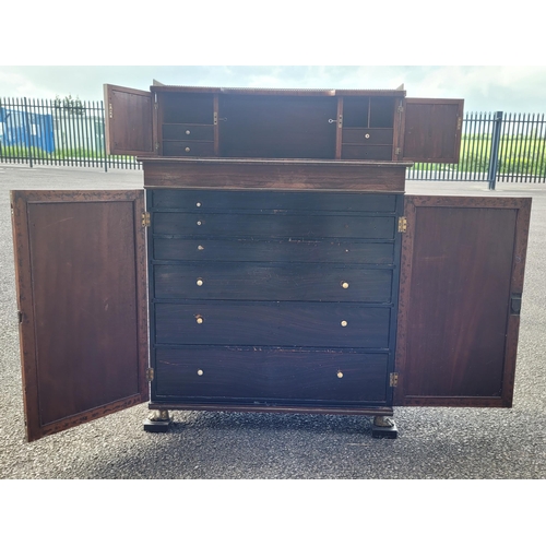 43 - A 19TH CENTURY ROSEWOOD TWO DOOR CHIFFONERE CABINET, with a top gallery section housing a pair of ca... 