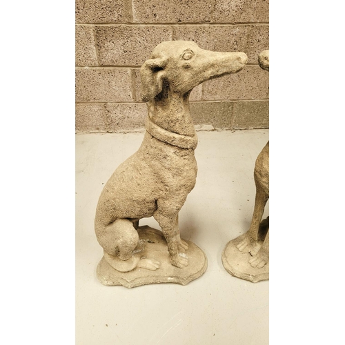 100 - A PAIR OF STONE COMPOSITE GARDEN ORNAMENTS IN THE FORM OF TWO SEATED HOUNDS, each with a collar. Dim... 