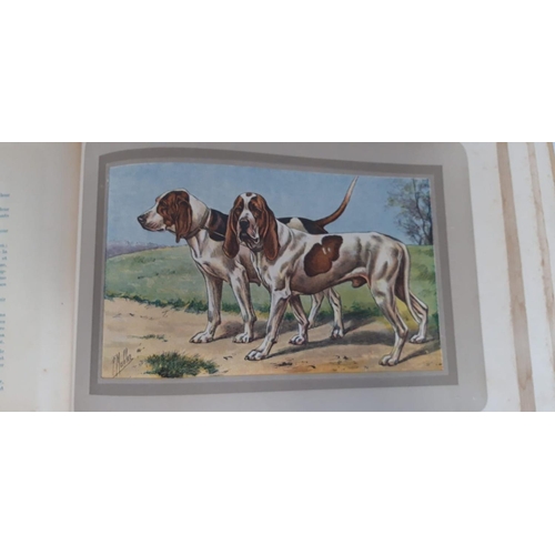101 - A RARE BOOK LOT: ‘LES CHIENS DE CHASSE’ HUNTING DOGS, first edition, 1931. 78 coloured plates includ... 
