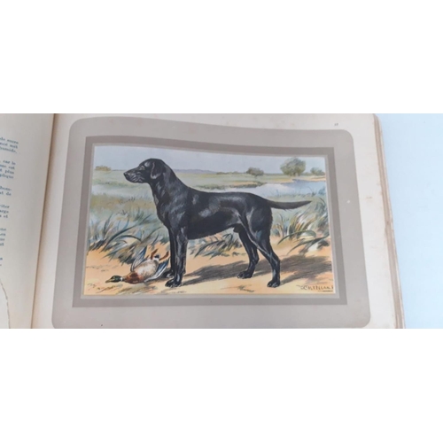 101 - A RARE BOOK LOT: ‘LES CHIENS DE CHASSE’ HUNTING DOGS, first edition, 1931. 78 coloured plates includ... 