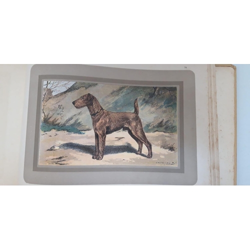 101 - A RARE BOOK LOT: ‘LES CHIENS DE CHASSE’ HUNTING DOGS, first edition, 1931. 78 coloured plates includ... 