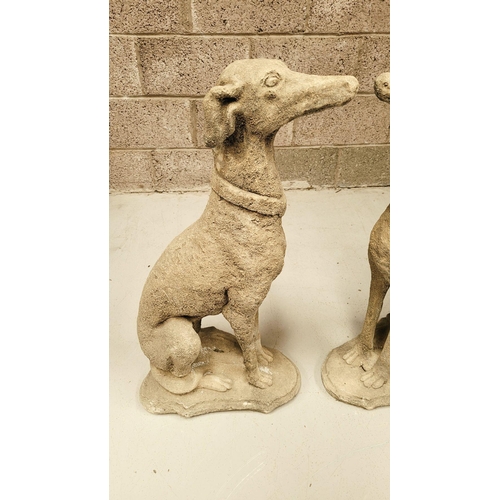 100 - A PAIR OF STONE COMPOSITE GARDEN ORNAMENTS IN THE FORM OF TWO SEATED HOUNDS, each with a collar. Dim... 