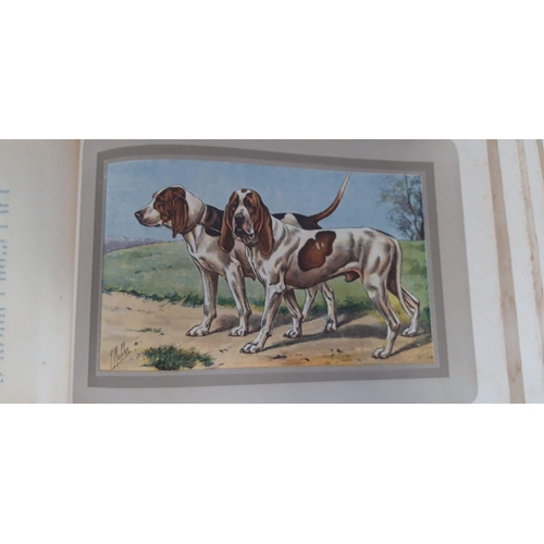 101 - A RARE BOOK LOT: ‘LES CHIENS DE CHASSE’ HUNTING DOGS, first edition, 1931. 78 coloured plates includ... 