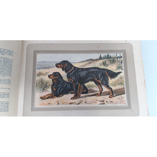 101 - A RARE BOOK LOT: ‘LES CHIENS DE CHASSE’ HUNTING DOGS, first edition, 1931. 78 coloured plates includ... 