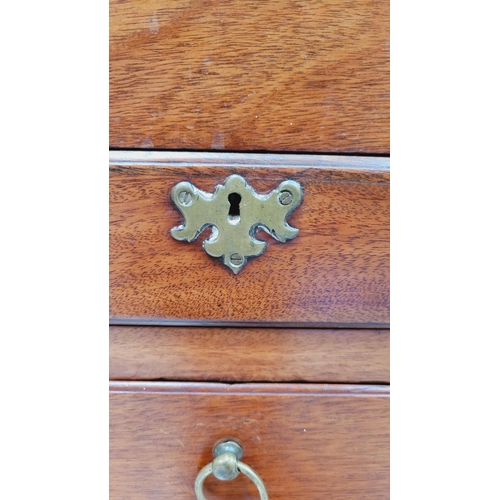 77 - A VERY GOOD QUALITY GENTLEMAN’S WASH STAND / LOCKER, to the top is a fold open compartment that rest... 