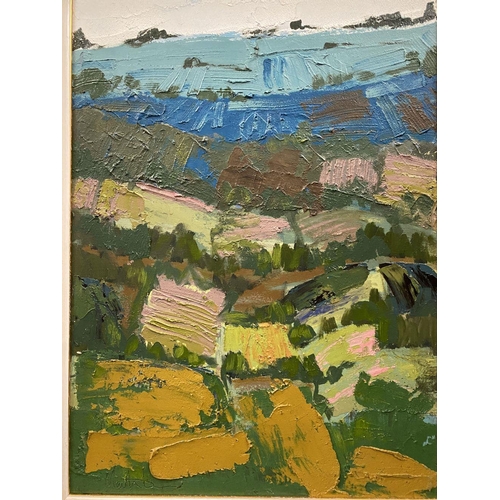 116 - MARTIN STONE, (IRISH, 20TH CENTURY), PLOUGHED FIELDS, CORK 2, oil on canvas, signed lower right. Ins... 