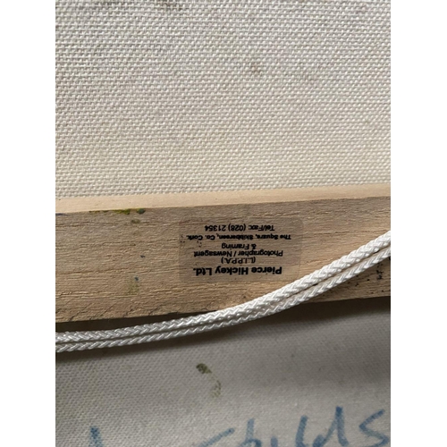 116 - MARTIN STONE, (IRISH, 20TH CENTURY), PLOUGHED FIELDS, CORK 2, oil on canvas, signed lower right. Ins... 