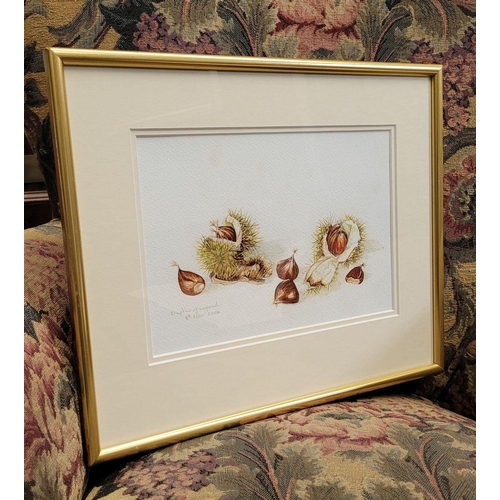 196 - DAPHNE HUGGARD, (IRISH, 20th CENTURY), CHESTNUTS, watercolour on paper, signed and dated lower left.... 