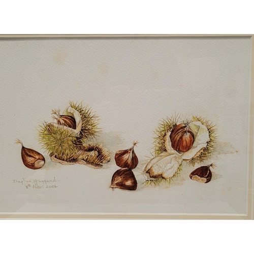 196 - DAPHNE HUGGARD, (IRISH, 20th CENTURY), CHESTNUTS, watercolour on paper, signed and dated lower left.... 