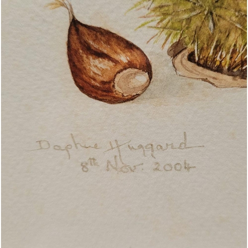 196 - DAPHNE HUGGARD, (IRISH, 20th CENTURY), CHESTNUTS, watercolour on paper, signed and dated lower left.... 