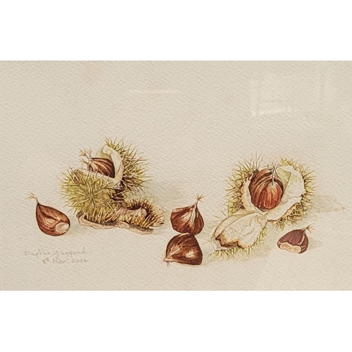 196 - DAPHNE HUGGARD, (IRISH, 20th CENTURY), CHESTNUTS, watercolour on paper, signed and dated lower left.... 