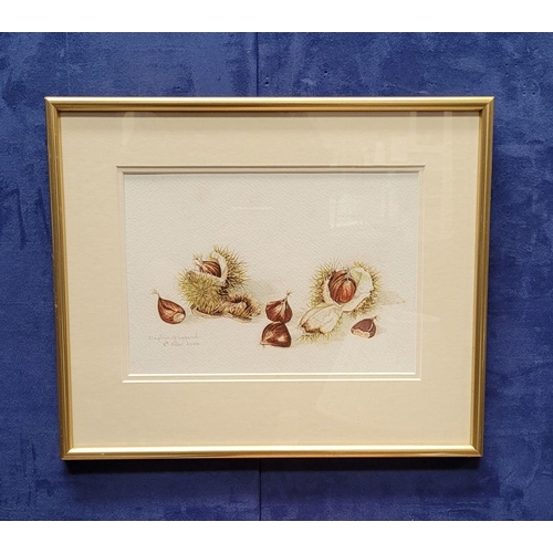 196 - DAPHNE HUGGARD, (IRISH, 20th CENTURY), CHESTNUTS, watercolour on paper, signed and dated lower left.... 