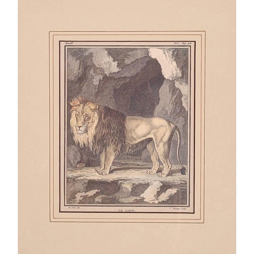 228 - A FRAMED PERSIAN SCHOOL HUNTING SCENE PAINTING, to the top of the page is a band of calligraphic scr... 