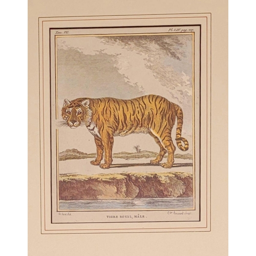 228 - A FRAMED PERSIAN SCHOOL HUNTING SCENE PAINTING, to the top of the page is a band of calligraphic scr... 