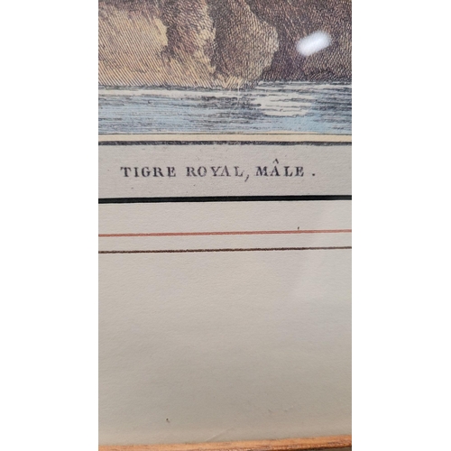 228 - A FRAMED PERSIAN SCHOOL HUNTING SCENE PAINTING, to the top of the page is a band of calligraphic scr... 