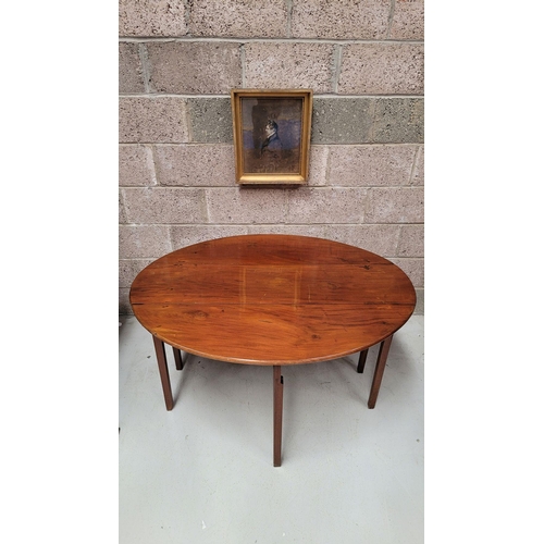 92 - AN IRISH GEORGIAN MAHOGANY DROP LEAF ‘HUNTS’ TABLE, the deep ‘D’ shaped leaves lift up and rest on a... 