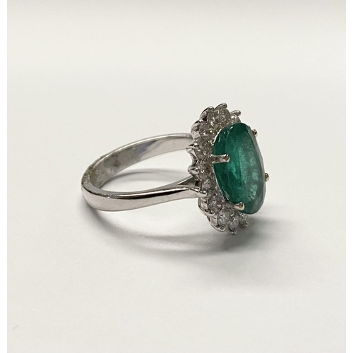 142 - A FANTASTIC 18CT WHITE GOLD EMERALD AND DIAMOND CLUSTER RING, with central vibrant oval cut emerald ... 