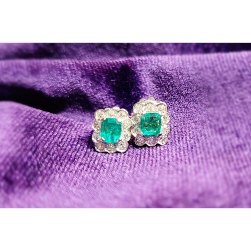 16 - A WONDERFUL PAIR OF 18CT WHITE GOLD CRISP SPARKLING EMERALD & DIAMOND CLUSTER EARRINGS, each earring... 