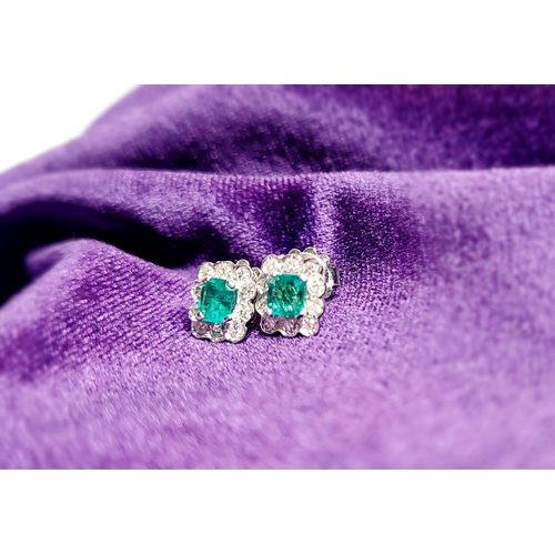 16 - A WONDERFUL PAIR OF 18CT WHITE GOLD CRISP SPARKLING EMERALD & DIAMOND CLUSTER EARRINGS, each earring... 