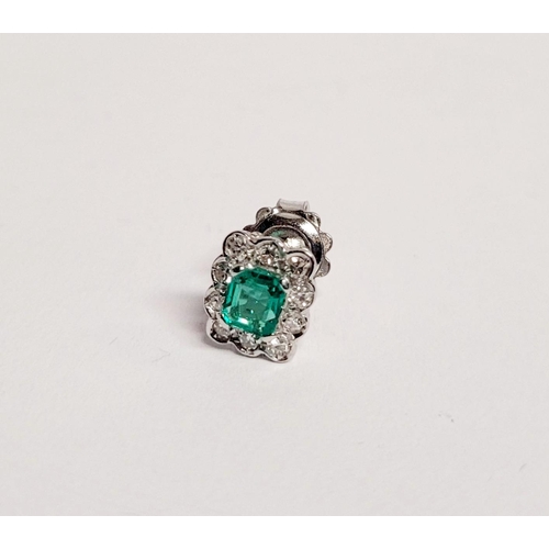 16 - A WONDERFUL PAIR OF 18CT WHITE GOLD CRISP SPARKLING EMERALD & DIAMOND CLUSTER EARRINGS, each earring... 