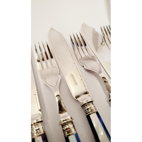 191 - A STUNNING CASED SET OF 6 SILVER PLATED FISH KNIVES & FORKS, with beautiful striking mother of pearl... 