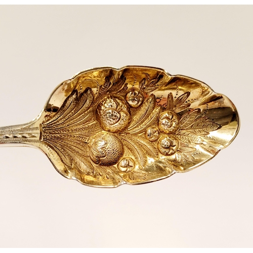 230 - THREE BEAUTIFUL BRIGHTCUT DECORATED MID 19TH CENTURY SILVER BERRY SPOONS with gilt bowls, having fru... 