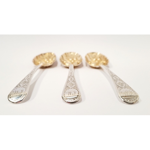 230 - THREE BEAUTIFUL BRIGHTCUT DECORATED MID 19TH CENTURY SILVER BERRY SPOONS with gilt bowls, having fru... 