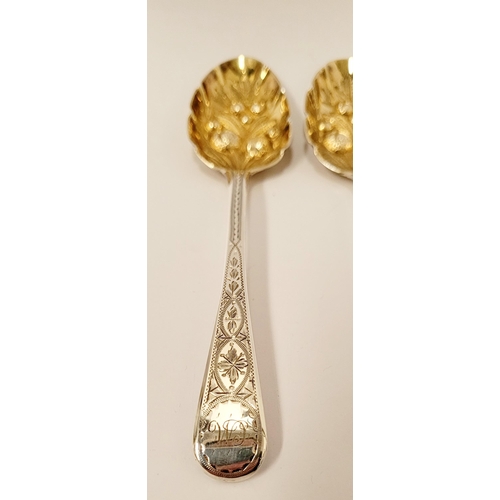 230 - THREE BEAUTIFUL BRIGHTCUT DECORATED MID 19TH CENTURY SILVER BERRY SPOONS with gilt bowls, having fru... 