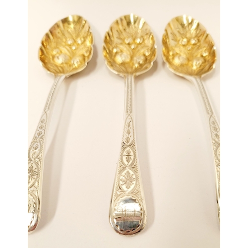 230 - THREE BEAUTIFUL BRIGHTCUT DECORATED MID 19TH CENTURY SILVER BERRY SPOONS with gilt bowls, having fru... 