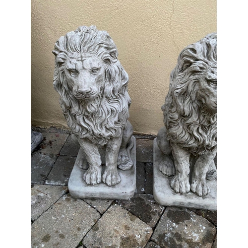 220 - A LOVELY PAIR OF GARDEN ORNAMENTS IN THE FORM OF SEATED LIONS, with beautiful flowing manes. 59cm ta... 