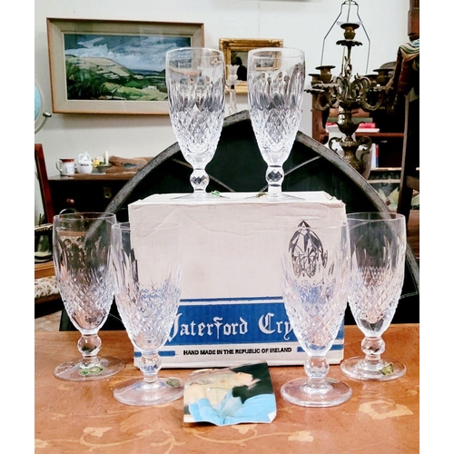 232 - S SET OF SIX VINTAGE WATERFORD CRYSTAL 'COLLEEN' CONTINENTAL CHAMPAGNE GLASSES, all in excellent con... 