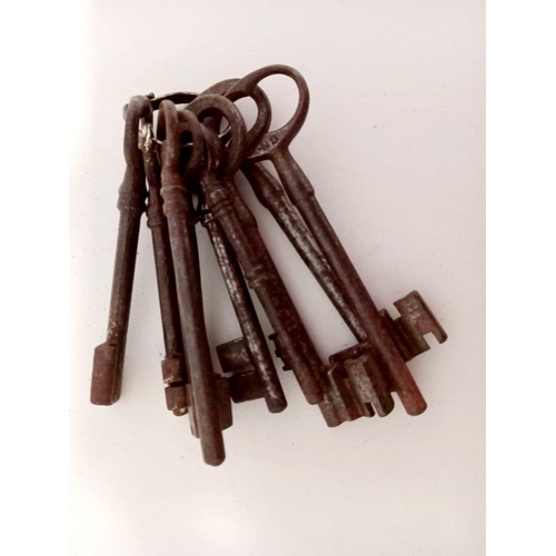 173 - A COLLECTION OF NINE 18TH/19TH CENTURY KEYS, 10-11cm long