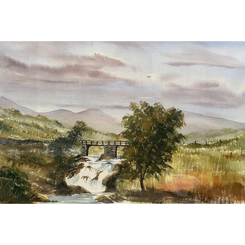 44 - IRISH SCHOOL, 20TH CENTURY, ‘THE FALLS’, watercolour on paper, labelled verso with title and dated 1... 