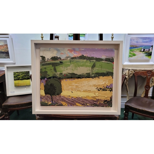 5 - MARTIN STONE, WEST CORK FARMLAND, oil on canvas, signed & inscribed verso. 19 x 24inches