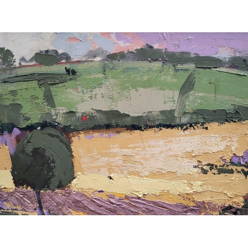 5 - MARTIN STONE, WEST CORK FARMLAND, oil on canvas, signed & inscribed verso. 19 x 24inches