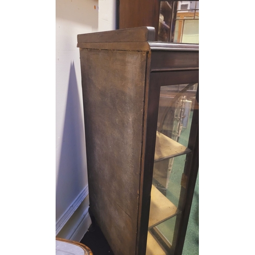 102 - A GOOD QUALITY EARLY 20TH CENTURY GLAZED DISPLAY CASE, neatly sized, with a single astragal glazed d... 