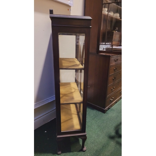 102 - A GOOD QUALITY EARLY 20TH CENTURY GLAZED DISPLAY CASE, neatly sized, with a single astragal glazed d... 