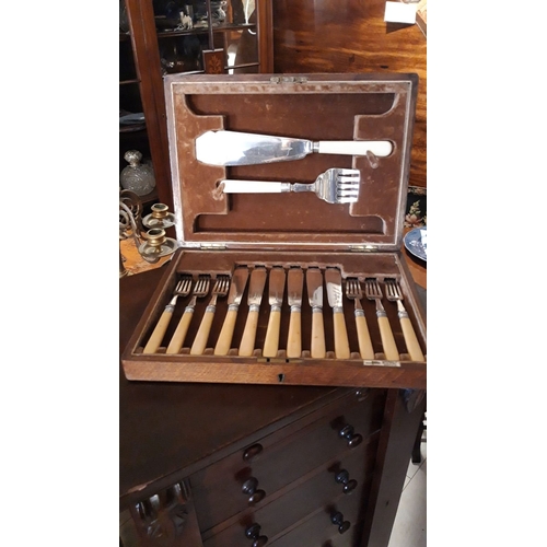 382 - AN EDWARDIAN MAHOGANY CASED SET OF FISH KNIVES & FORKS, together with matching servers by the maker ... 