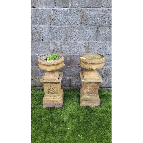 196 - A PAIR OF OLD GARDEN URNS ON PEDESTAL BASES, the urn planters with eagle head detail & petal gadroon... 