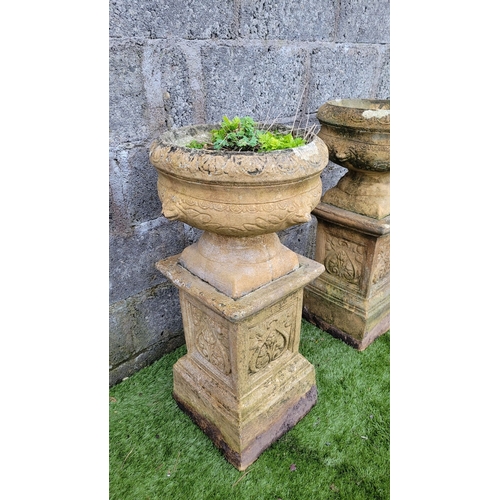 196 - A PAIR OF OLD GARDEN URNS ON PEDESTAL BASES, the urn planters with eagle head detail & petal gadroon... 