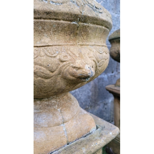 196 - A PAIR OF OLD GARDEN URNS ON PEDESTAL BASES, the urn planters with eagle head detail & petal gadroon... 