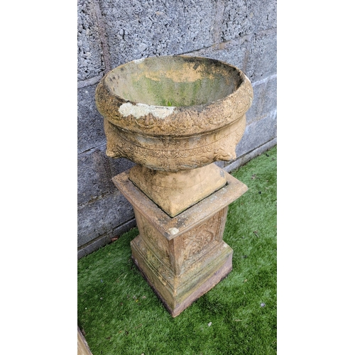 196 - A PAIR OF OLD GARDEN URNS ON PEDESTAL BASES, the urn planters with eagle head detail & petal gadroon... 