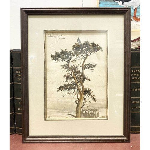 294 - A FRAMED WATERCOLOUR ON PAPER, ‘THE SCOTCH FIR’, titled upper right and dated Sept 6th ’42, together... 