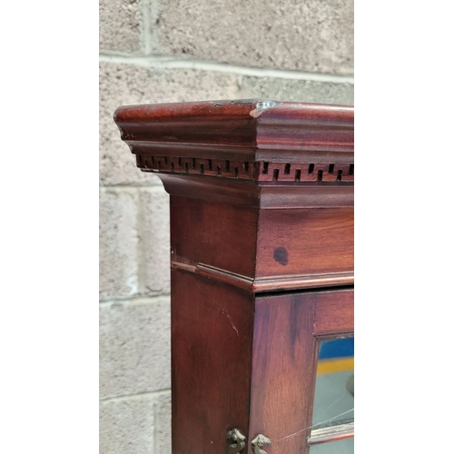 366 - A LARGE ASTRAGAL GLAZED 19TH CENTURY CORNER DISPLAY CABINET, with greek-key detail to the stepped pe... 